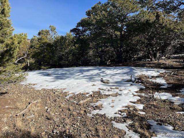 209 Blanca Place Mosca CO 81146