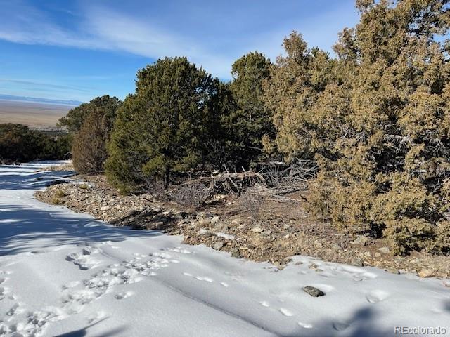 209 Blanca Place Mosca CO 81146