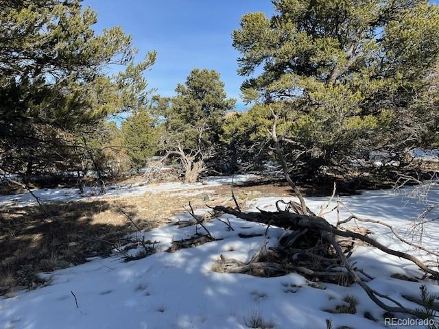209 Blanca Place Mosca CO 81146