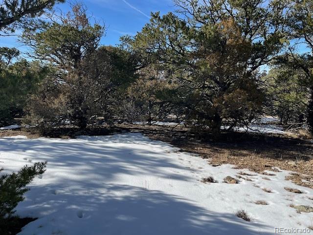 209 Blanca Place Mosca CO 81146