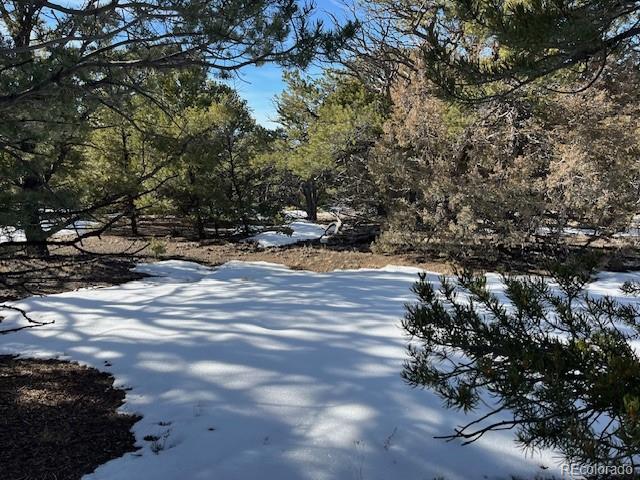 209 Blanca Place Mosca CO 81146