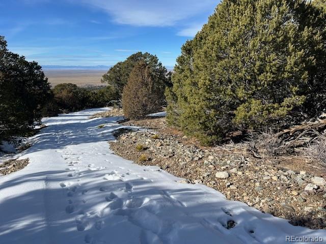 209 Blanca Place Mosca CO 81146