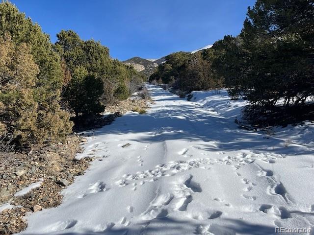 209 Blanca Place Mosca CO 81146