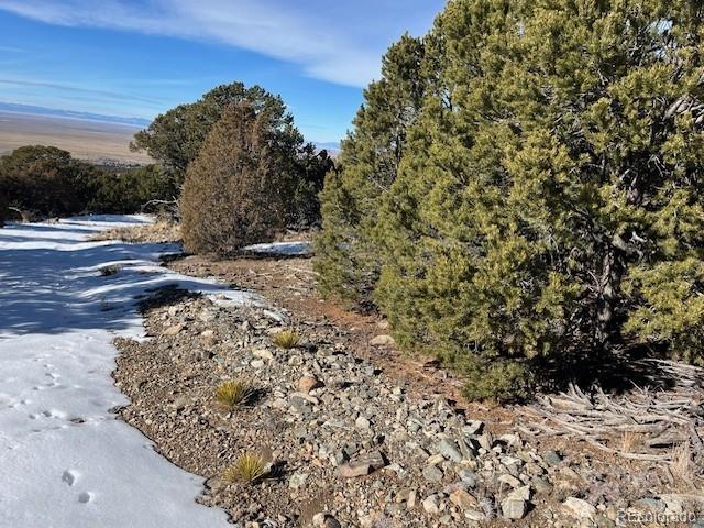 209 Blanca Place Mosca CO 81146