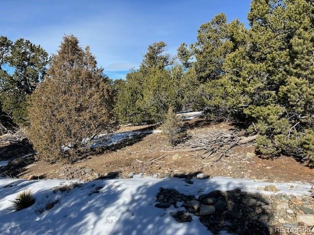 209 Blanca Place Mosca CO 81146