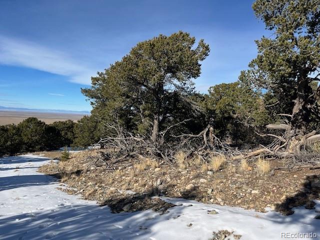 209 Blanca Place Mosca CO 81146