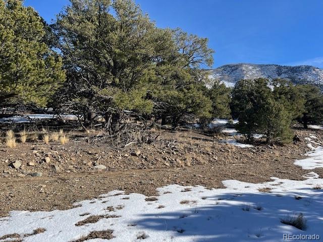 209 Blanca Place Mosca CO 81146