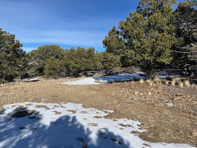 209 Blanca Place Mosca CO 81146