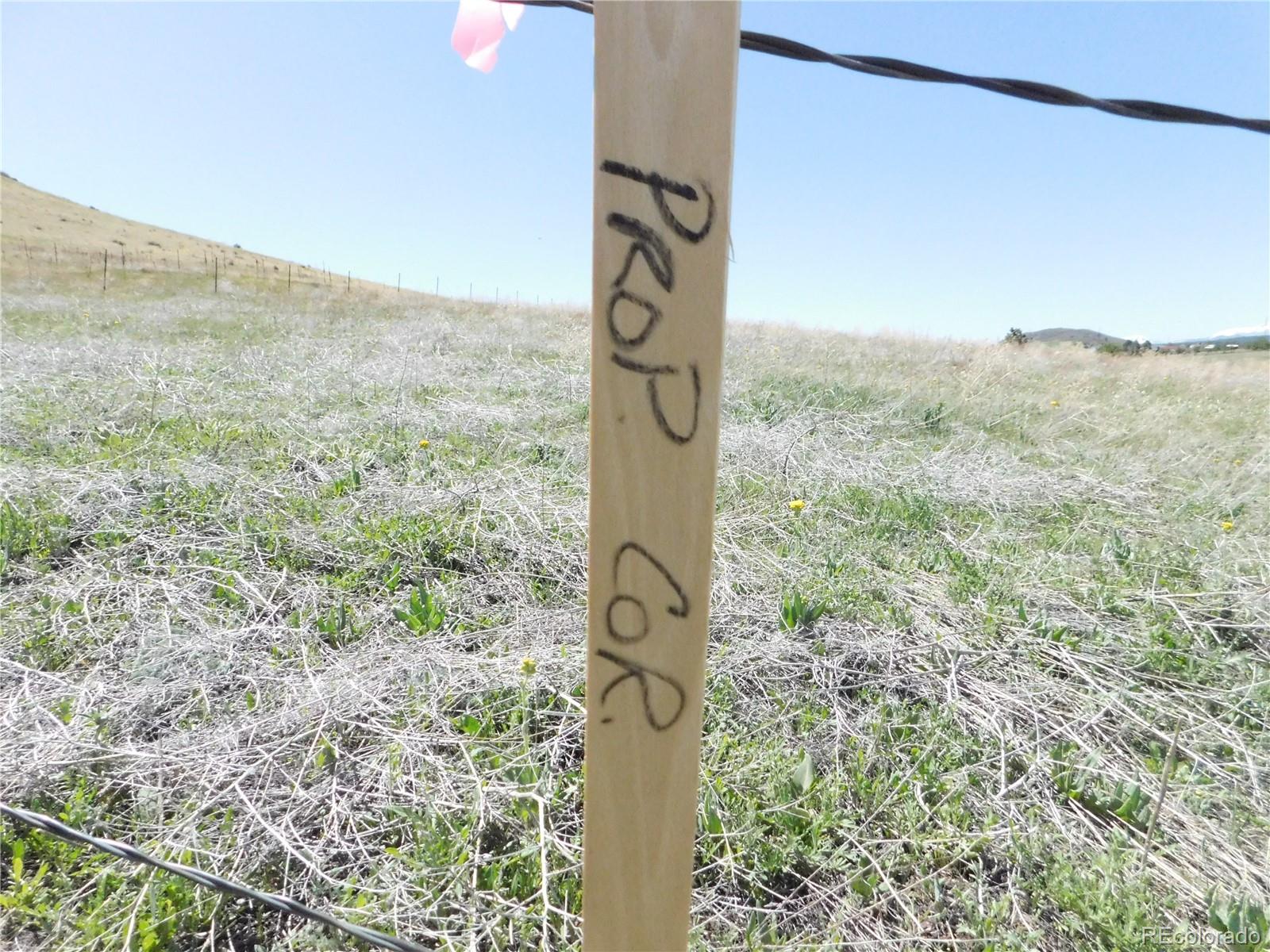11972 Haskel Creek Road Larkspur CO 80118