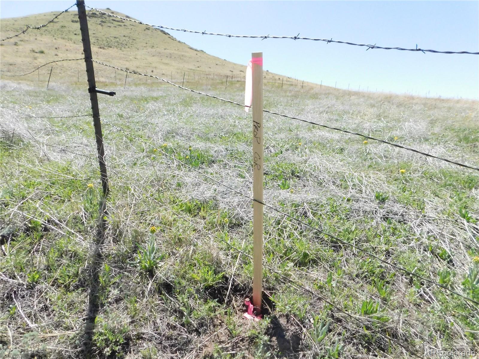 11972 Haskel Creek Road Larkspur CO 80118