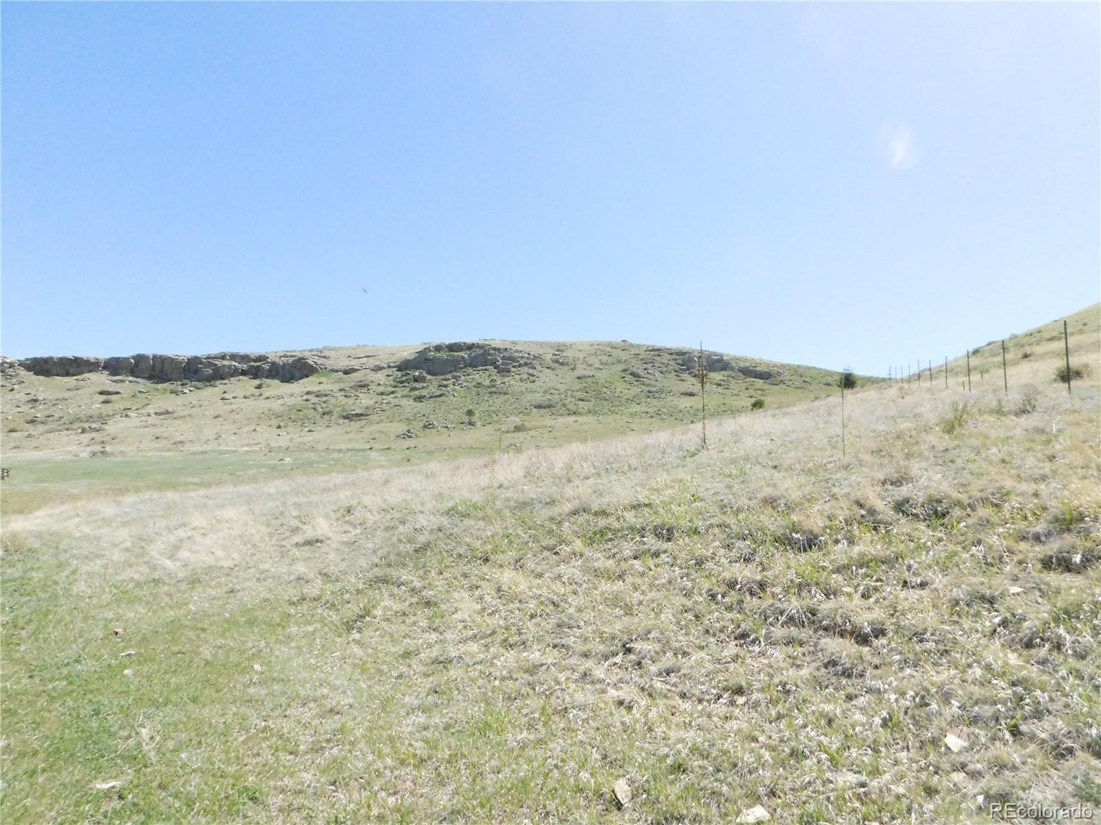 11972 Haskel Creek Road Larkspur CO 80118
