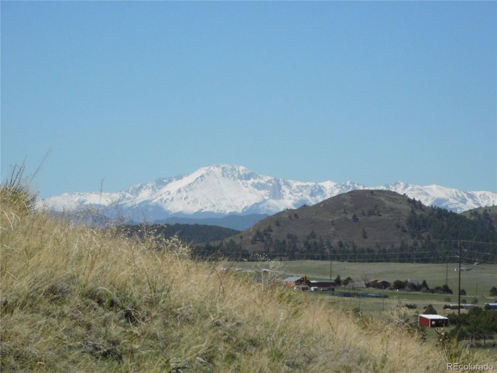 11972 Haskel Creek Road Larkspur CO 80118