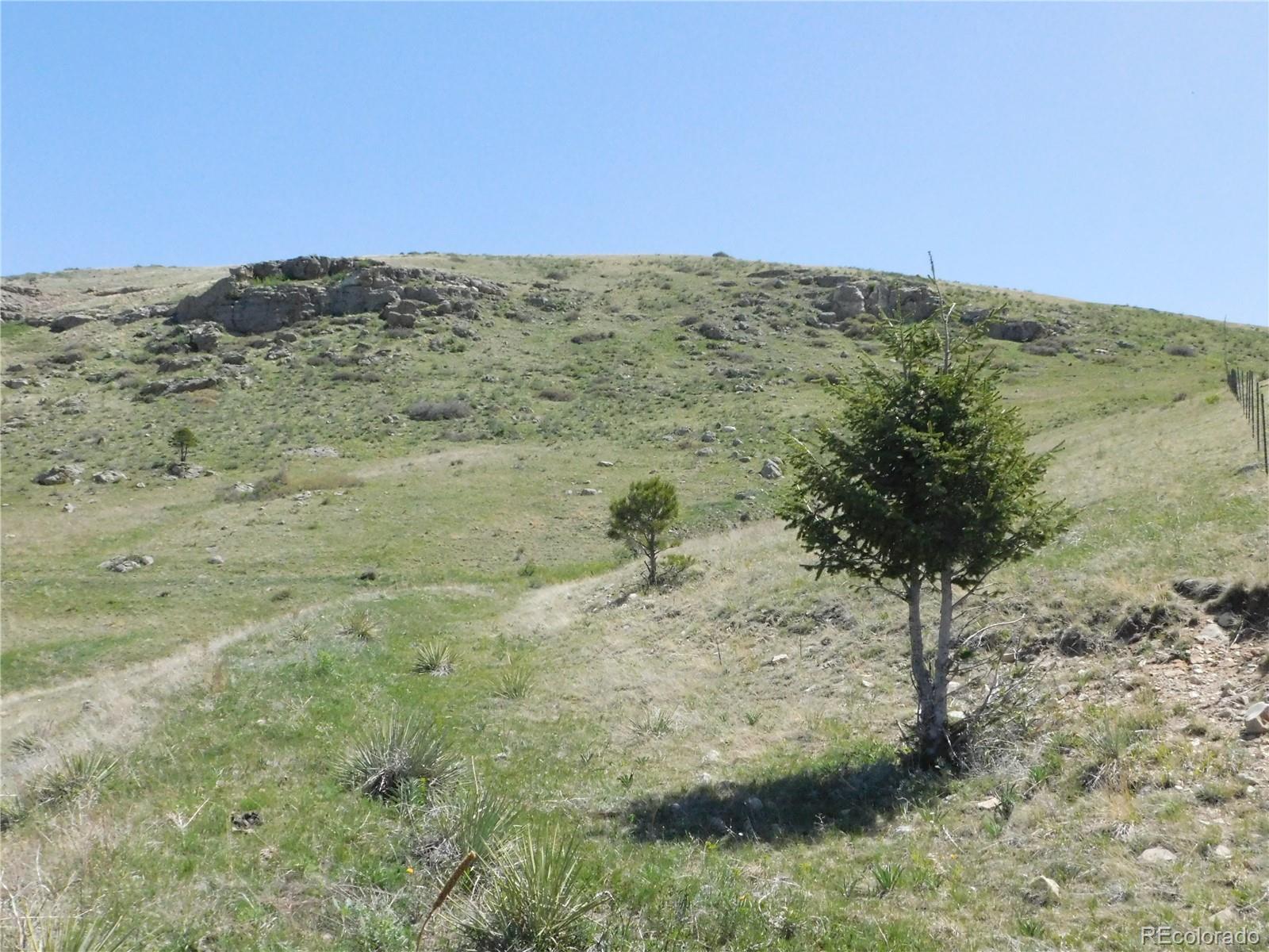 11972 Haskel Creek Road Larkspur CO 80118