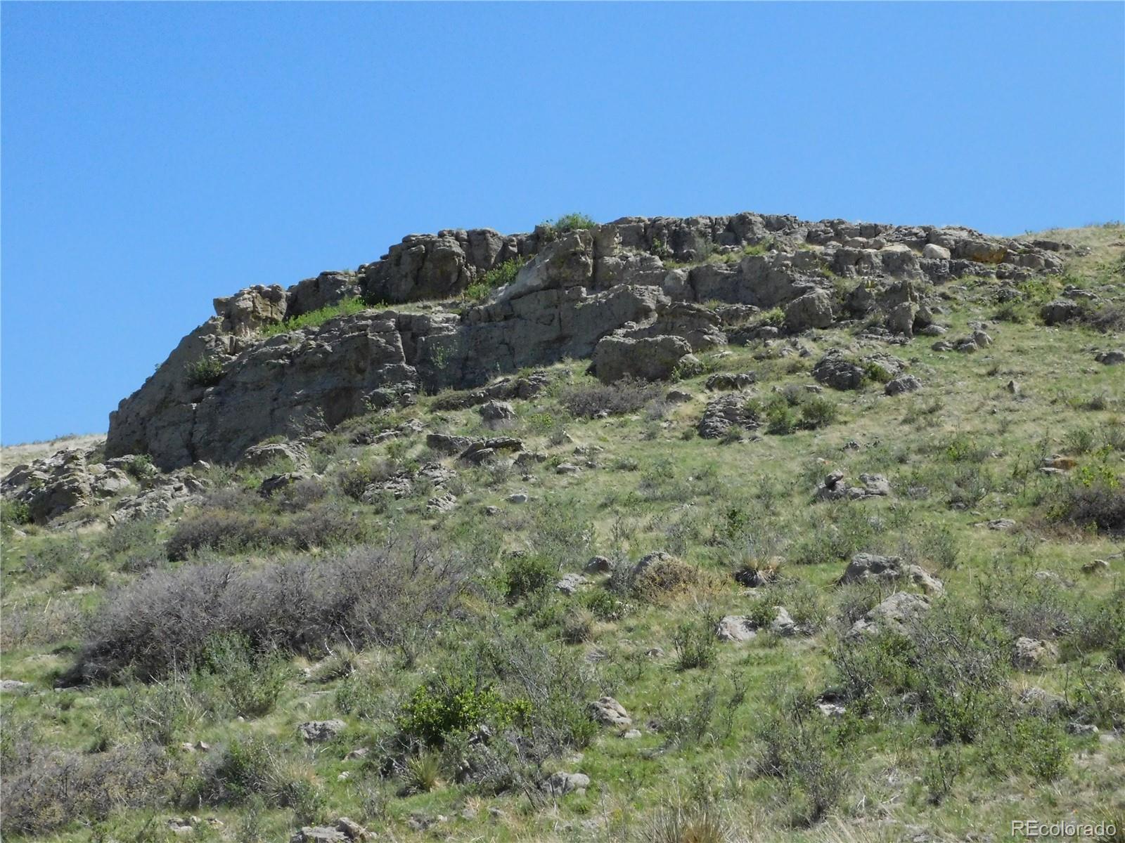11972 Haskel Creek Road Larkspur CO 80118