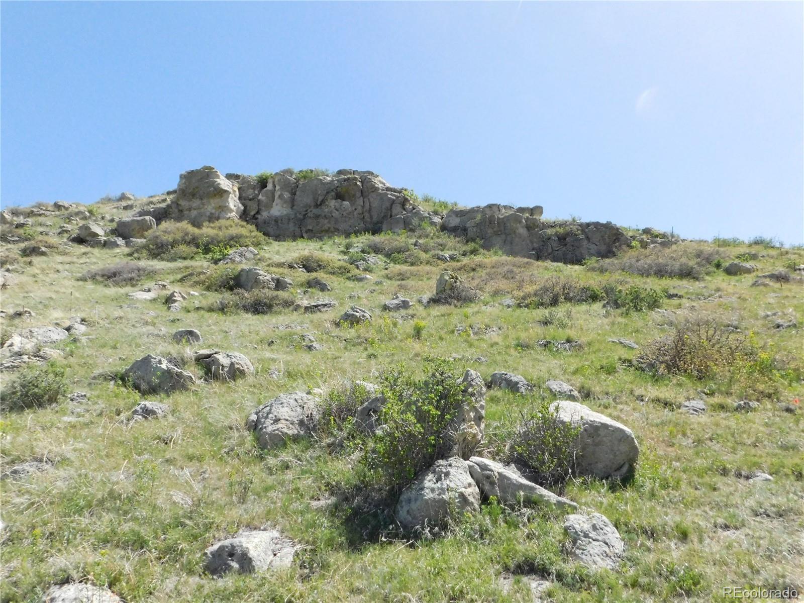 11972 Haskel Creek Road Larkspur CO 80118
