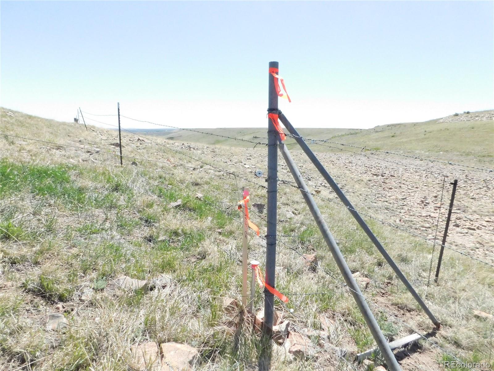11972 Haskel Creek Road Larkspur CO 80118