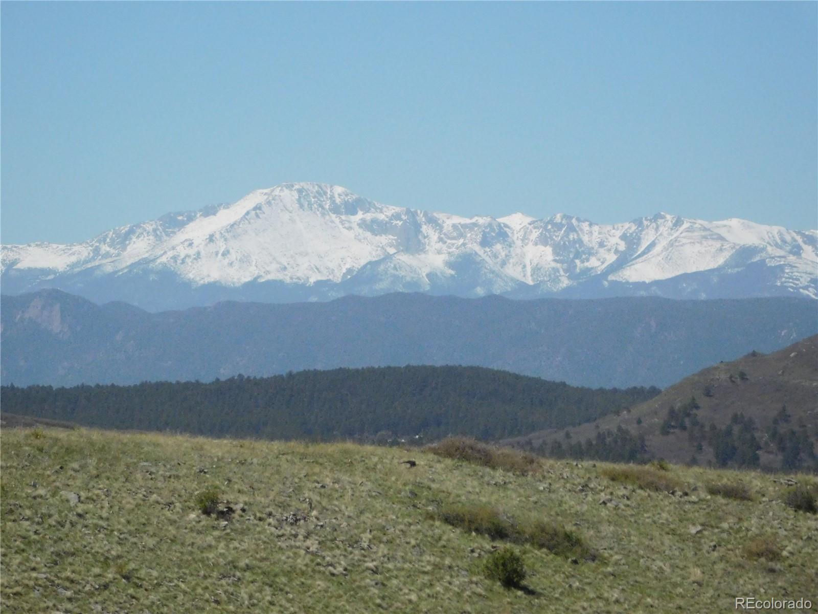 11972 Haskel Creek Road Larkspur CO 80118