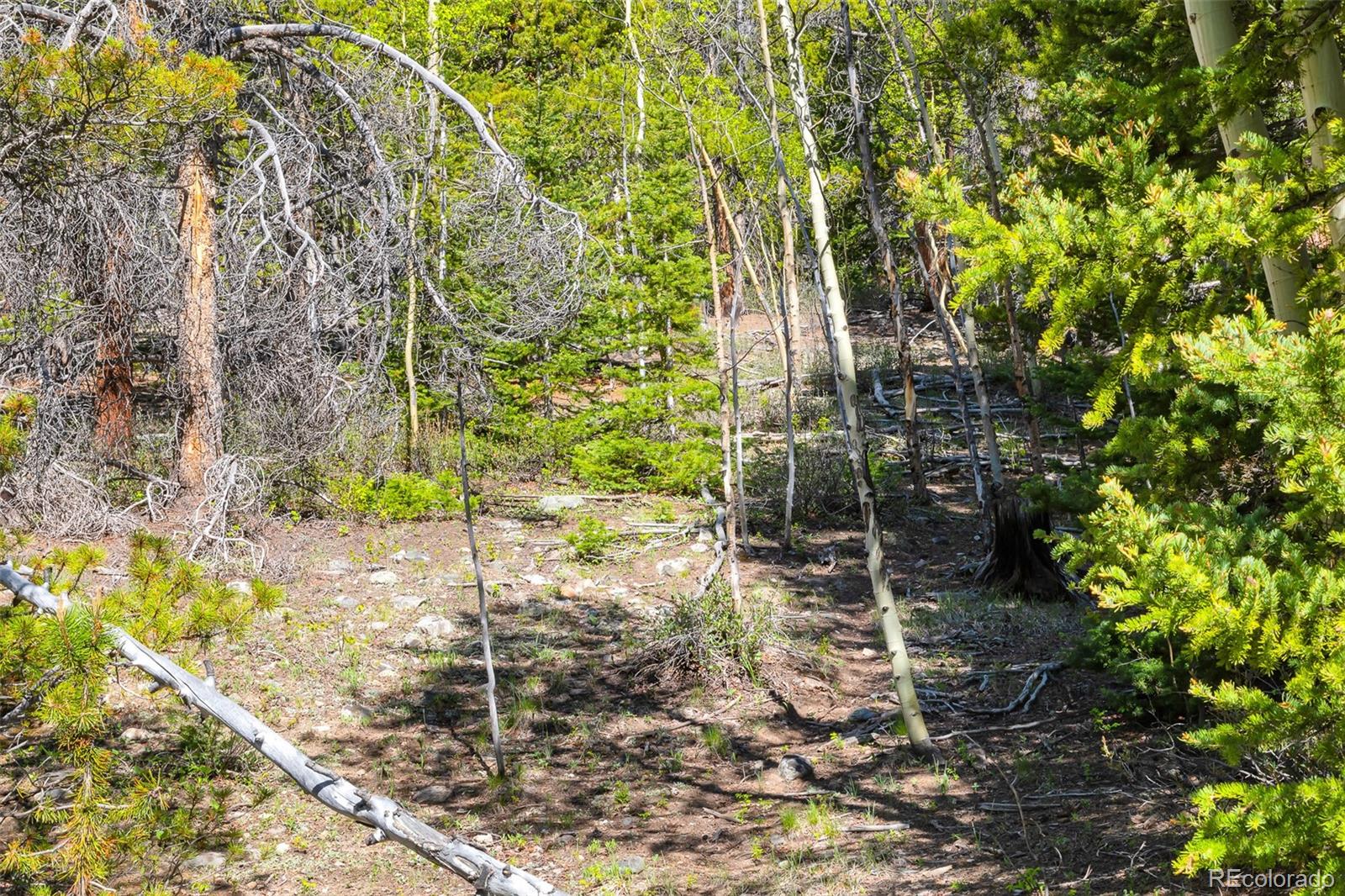 715 Lewsader Road Alma CO 80420