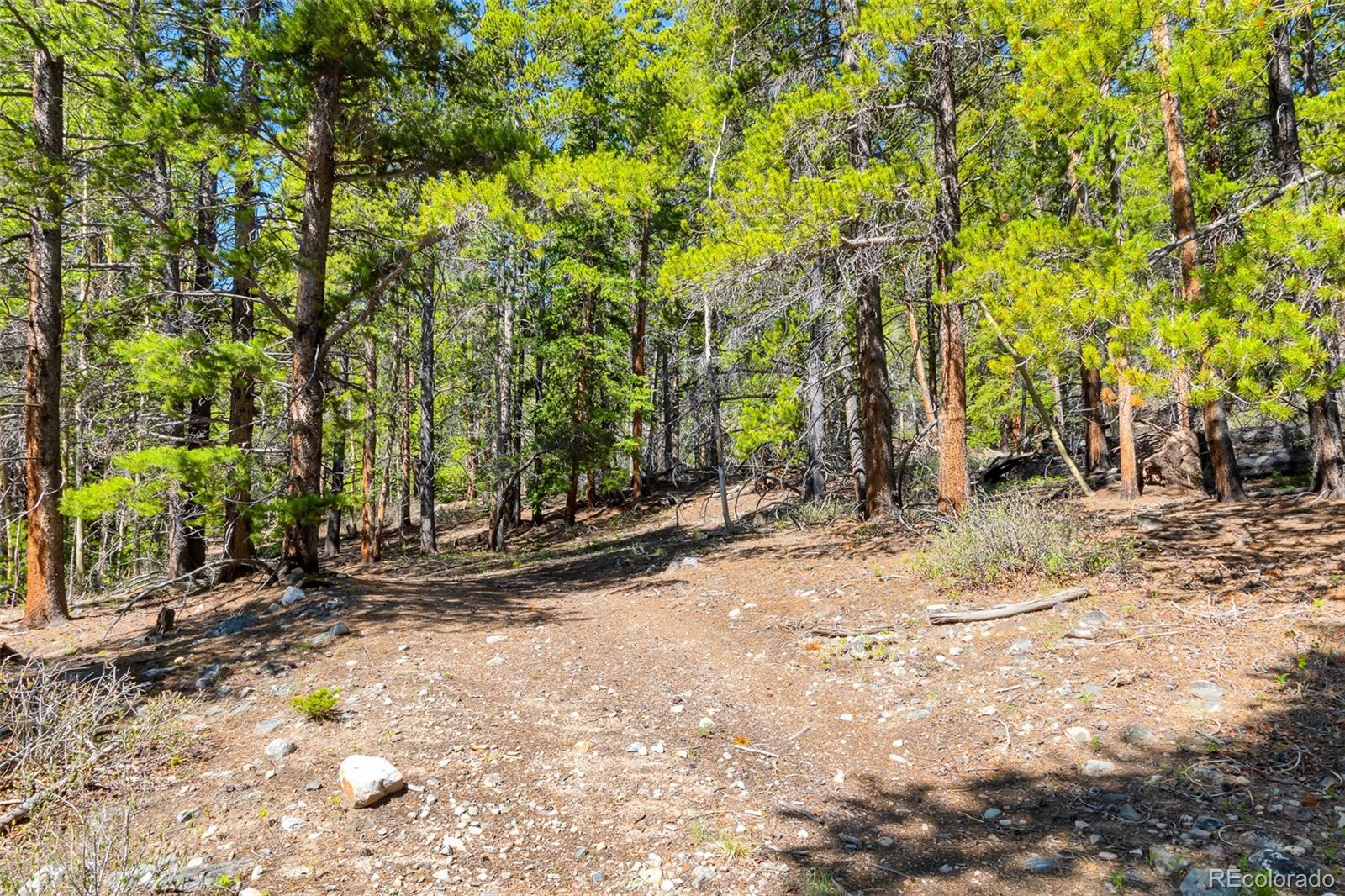 715 Lewsader Road Alma CO 80420
