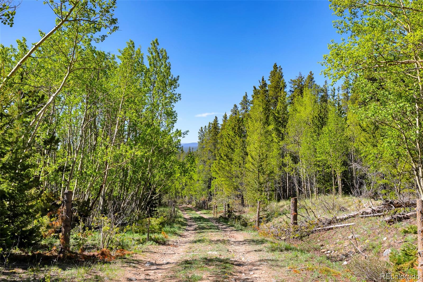 715 Lewsader Road Alma CO 80420