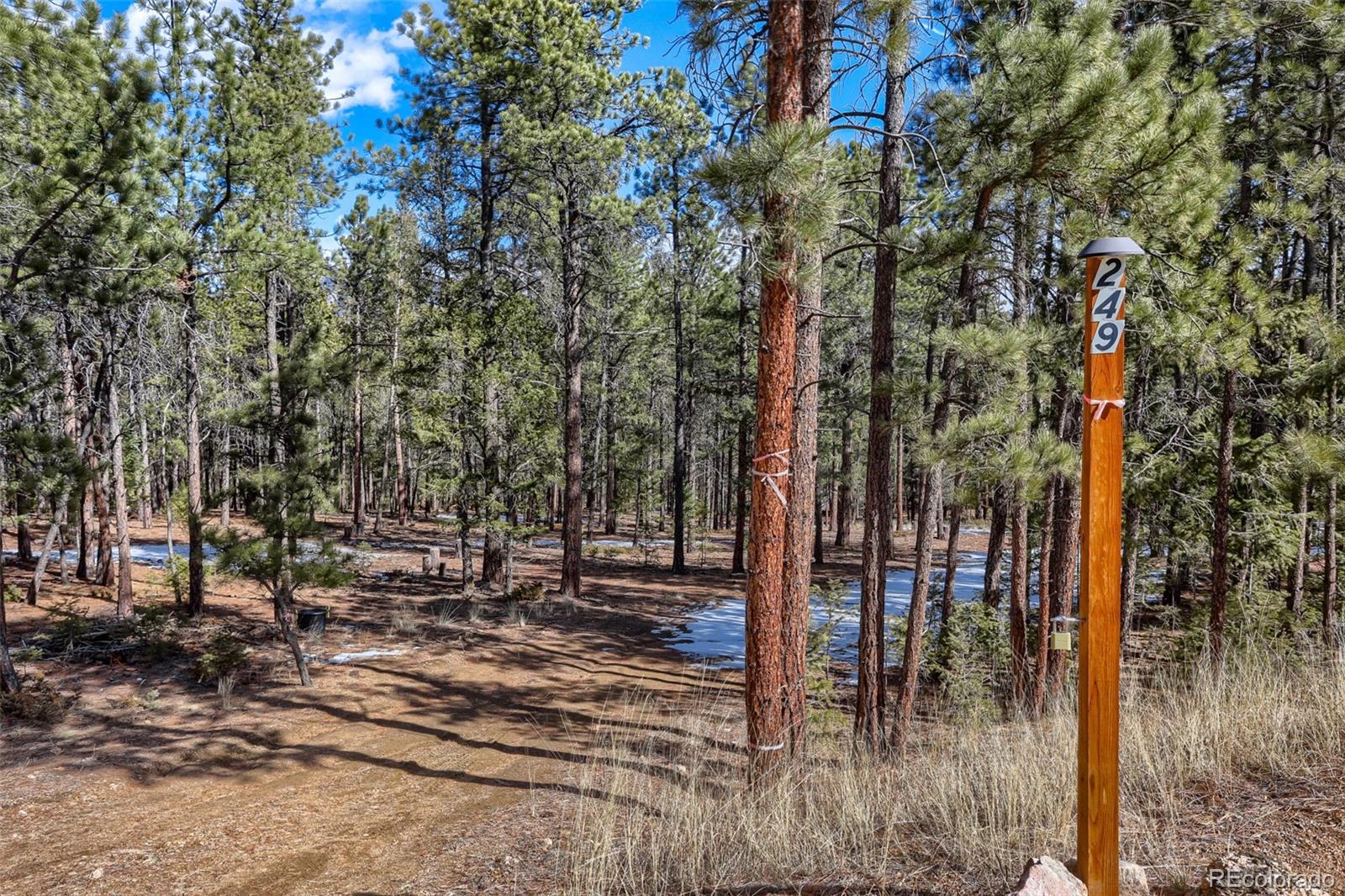 249 Territory Drive Pine CO 80470