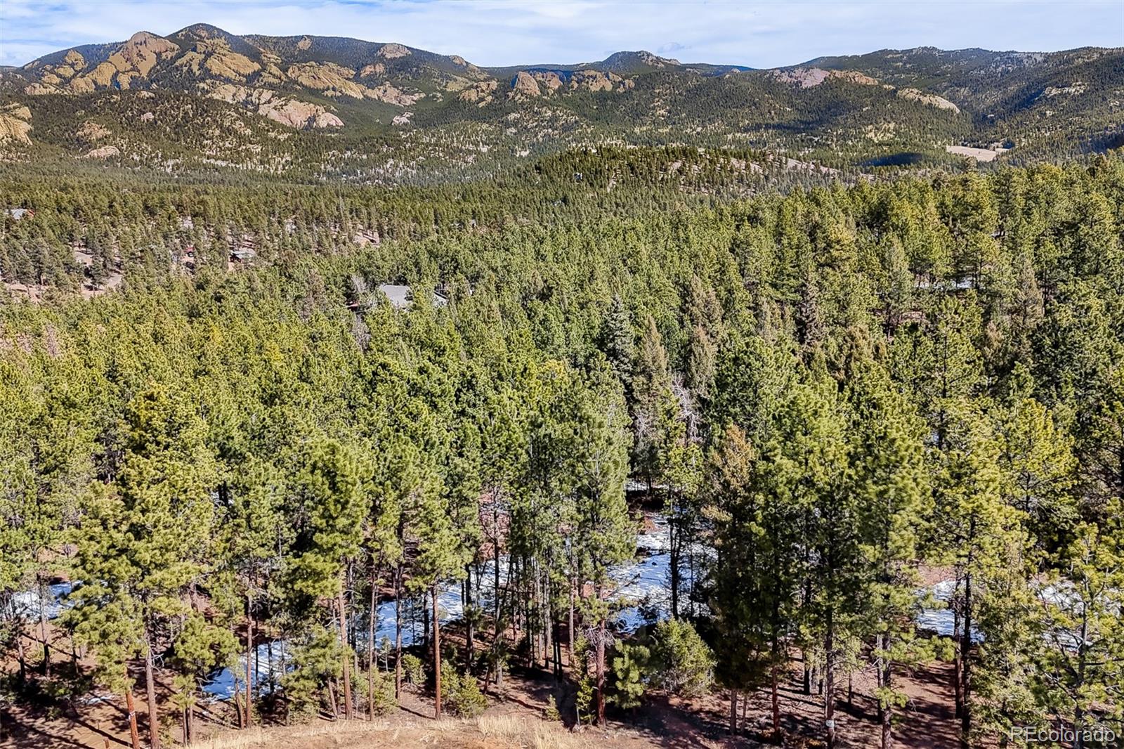 249 Territory Drive Pine CO 80470