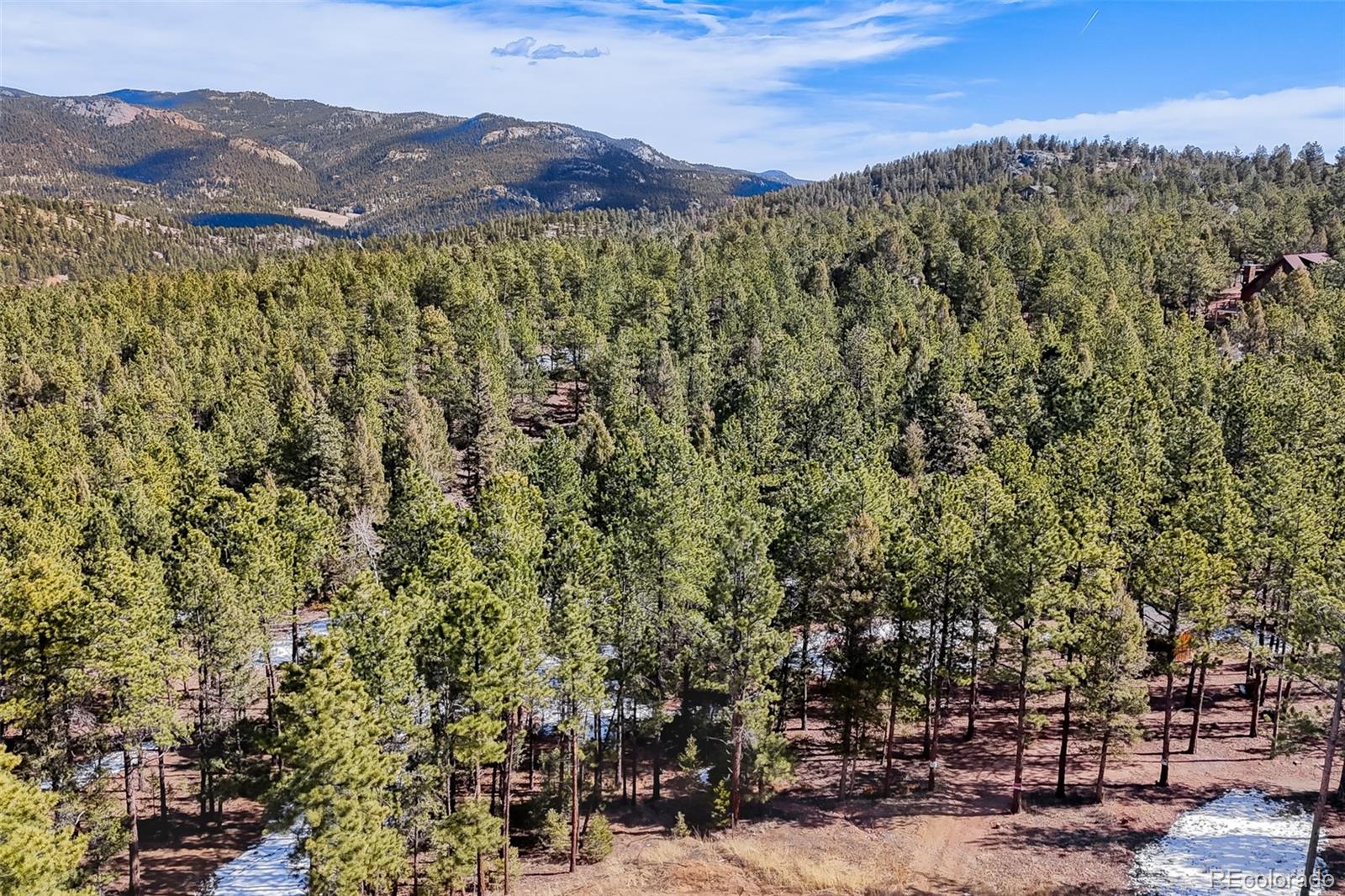 249 Territory Drive Pine CO 80470