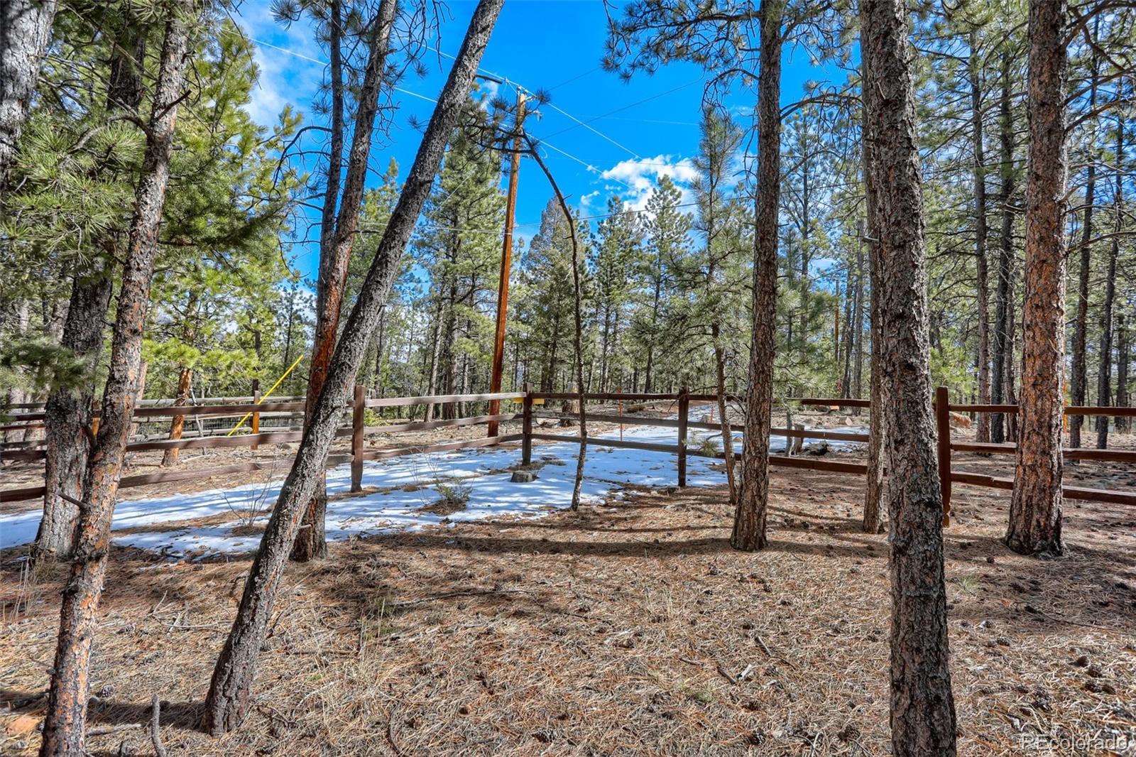 249 Territory Drive Pine CO 80470