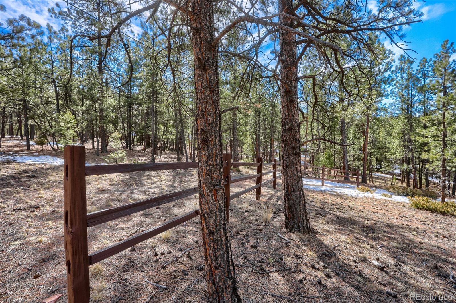 249 Territory Drive Pine CO 80470