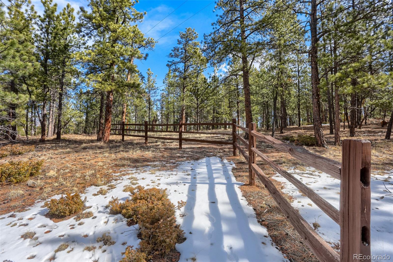 249 Territory Drive Pine CO 80470
