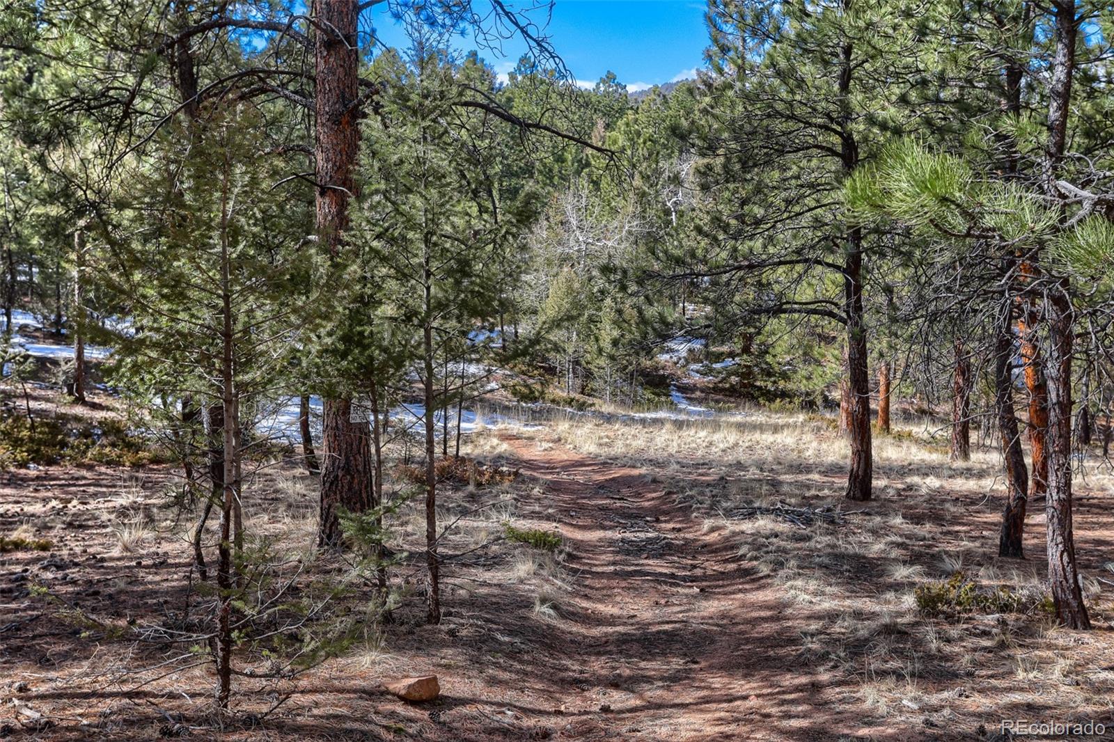249 Territory Drive Pine CO 80470