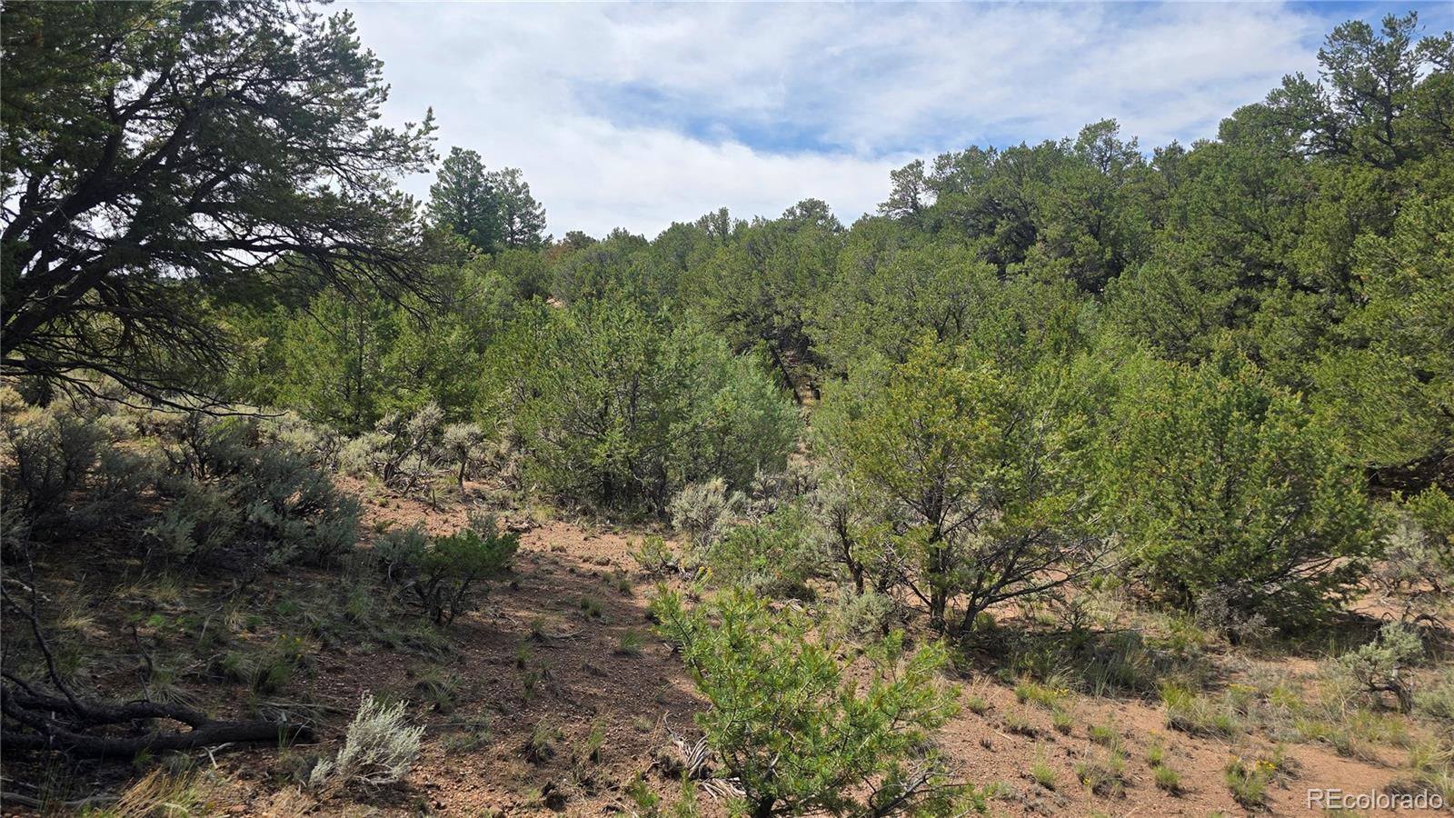 Lot 7892 Tiernan Road Fort Garland CO 81133