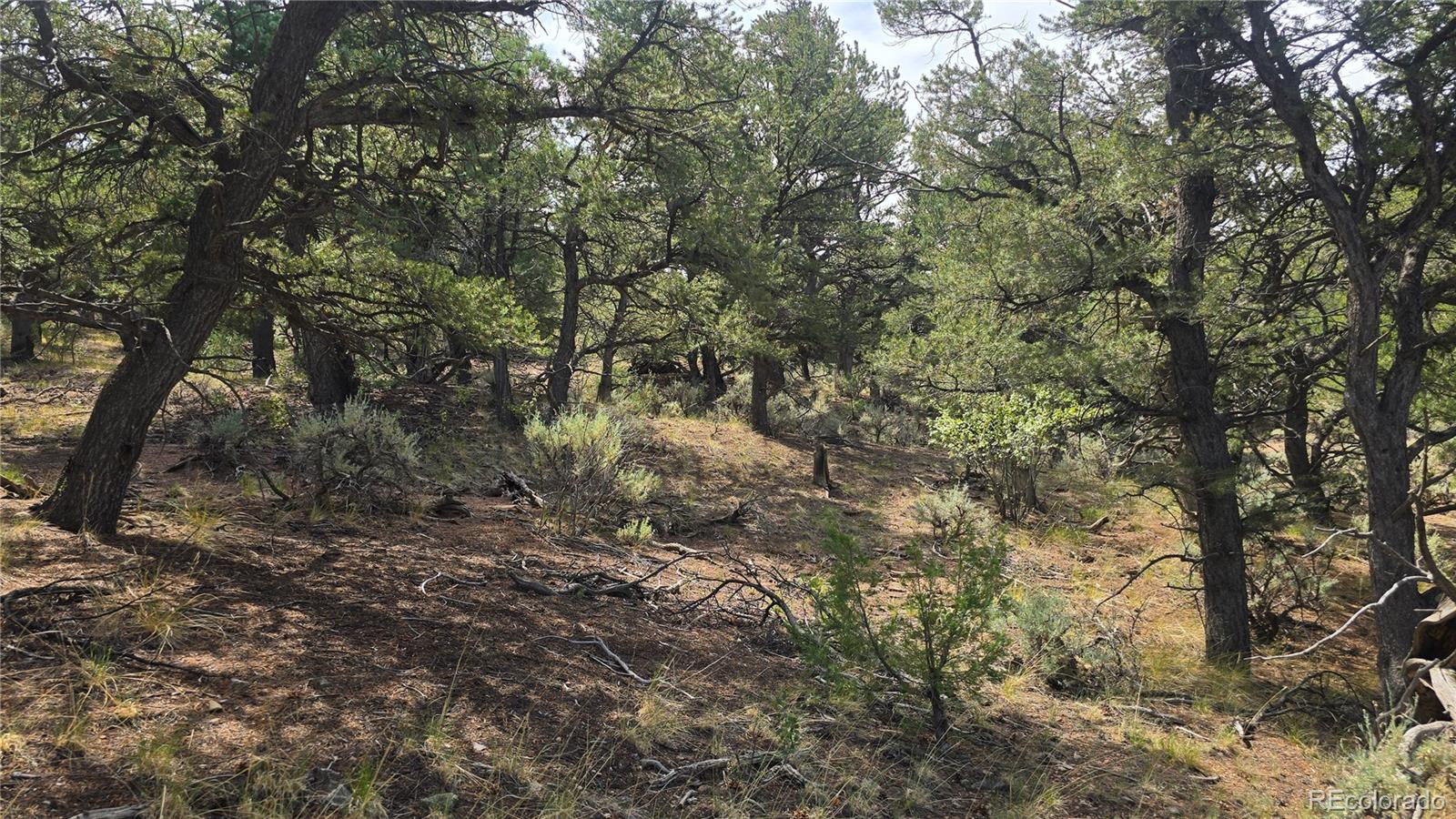 Lot 7892 Tiernan Road Fort Garland CO 81133