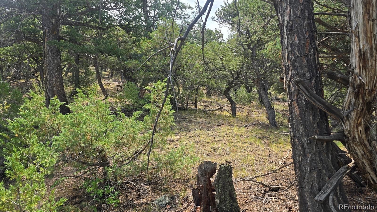 Lot 7892 Tiernan Road Fort Garland CO 81133