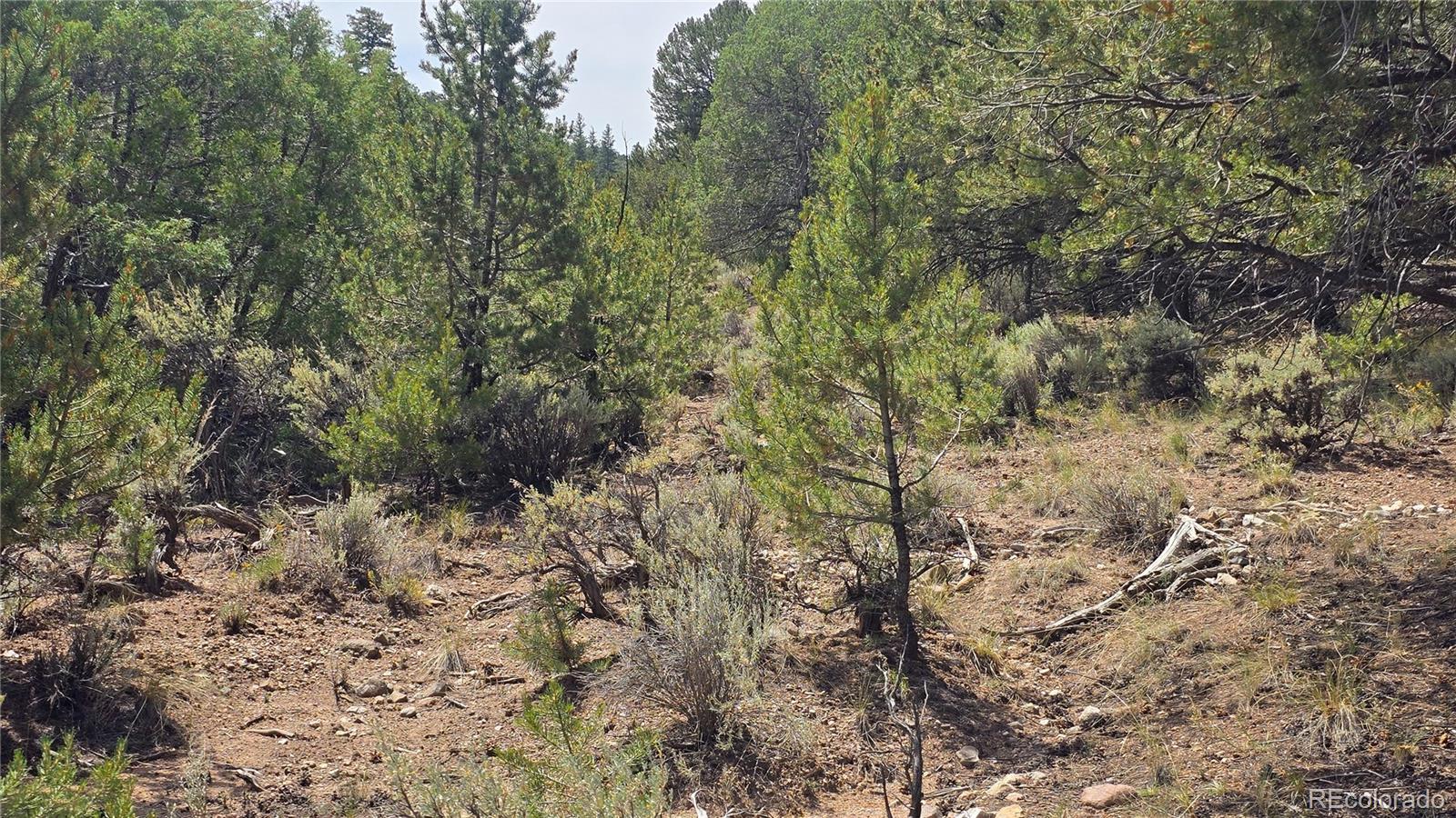 Lot 7892 Tiernan Road Fort Garland CO 81133
