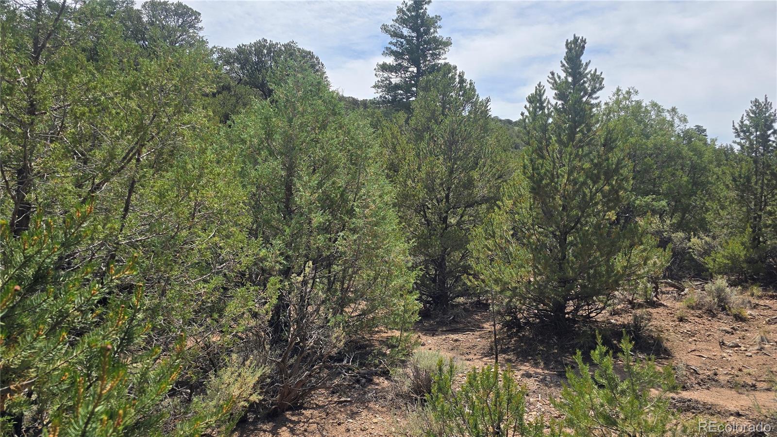 Lot 7892 Tiernan Road Fort Garland CO 81133