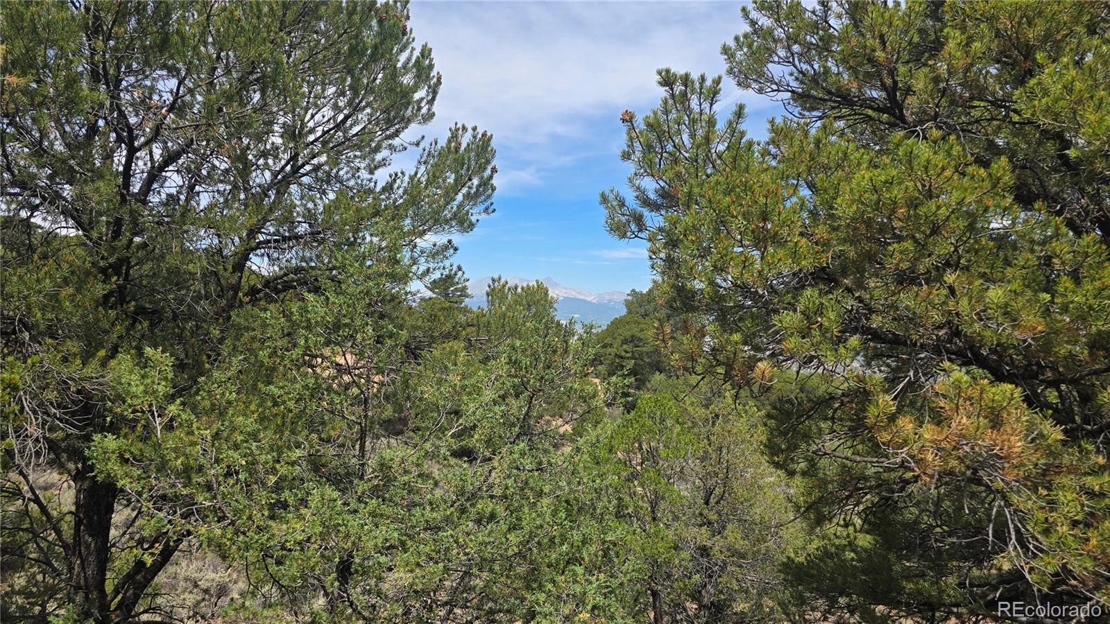 Lot 7892 Tiernan Road Fort Garland CO 81133