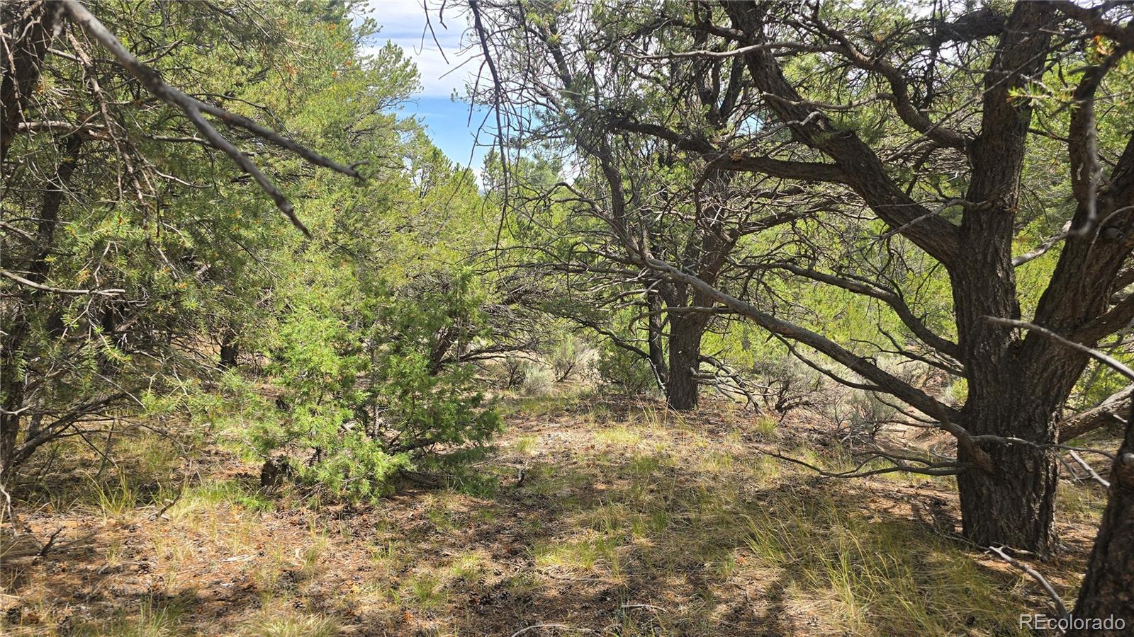 Lot 7892 Tiernan Road Fort Garland CO 81133
