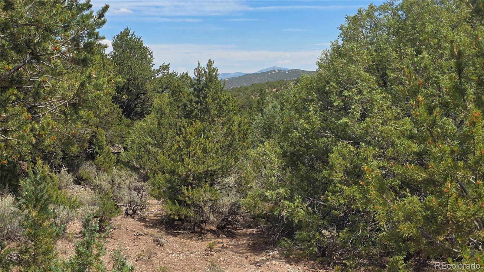 Lot 7892 Tiernan Road Fort Garland CO 81133