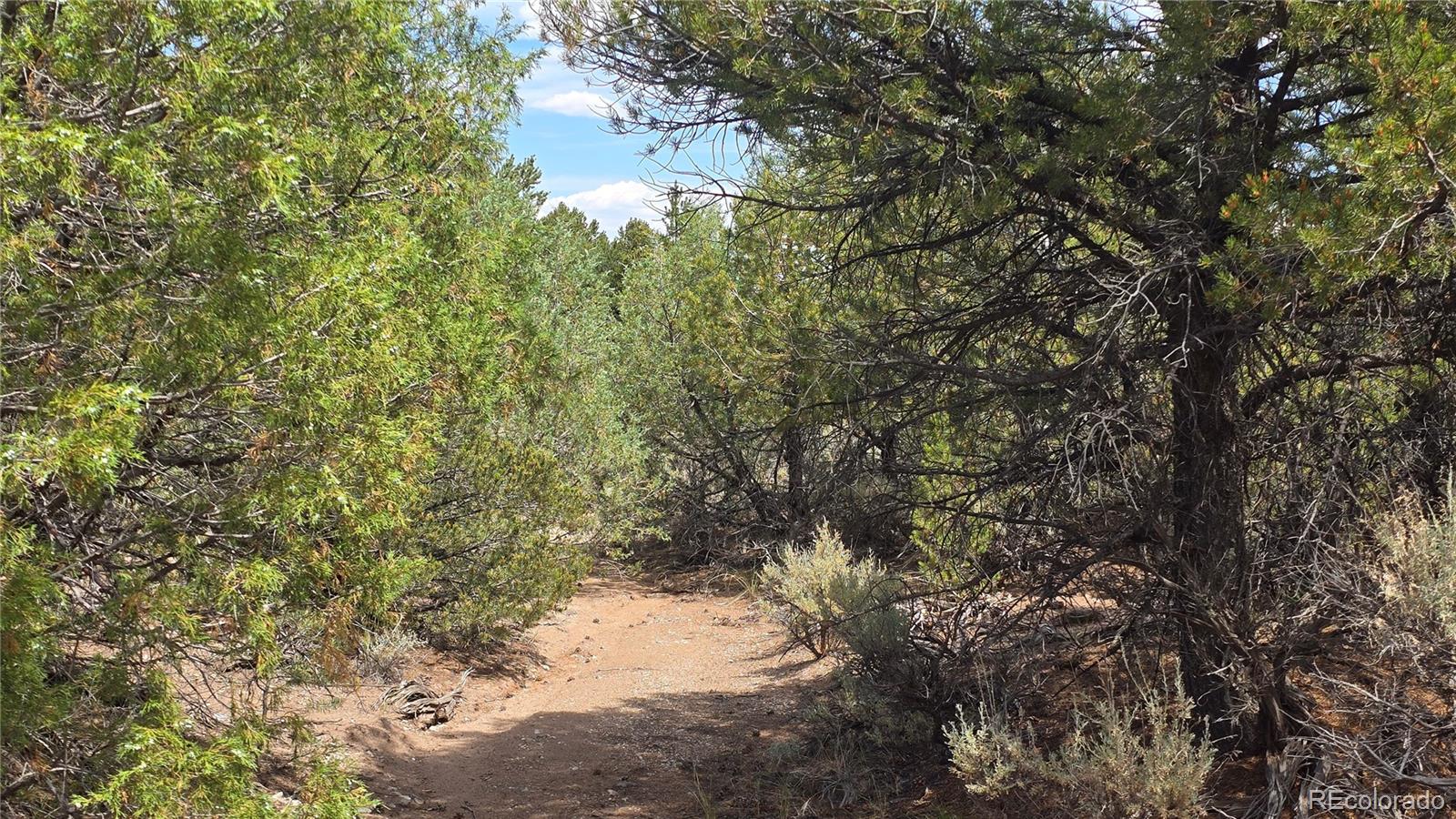 Lot 7892 Tiernan Road Fort Garland CO 81133