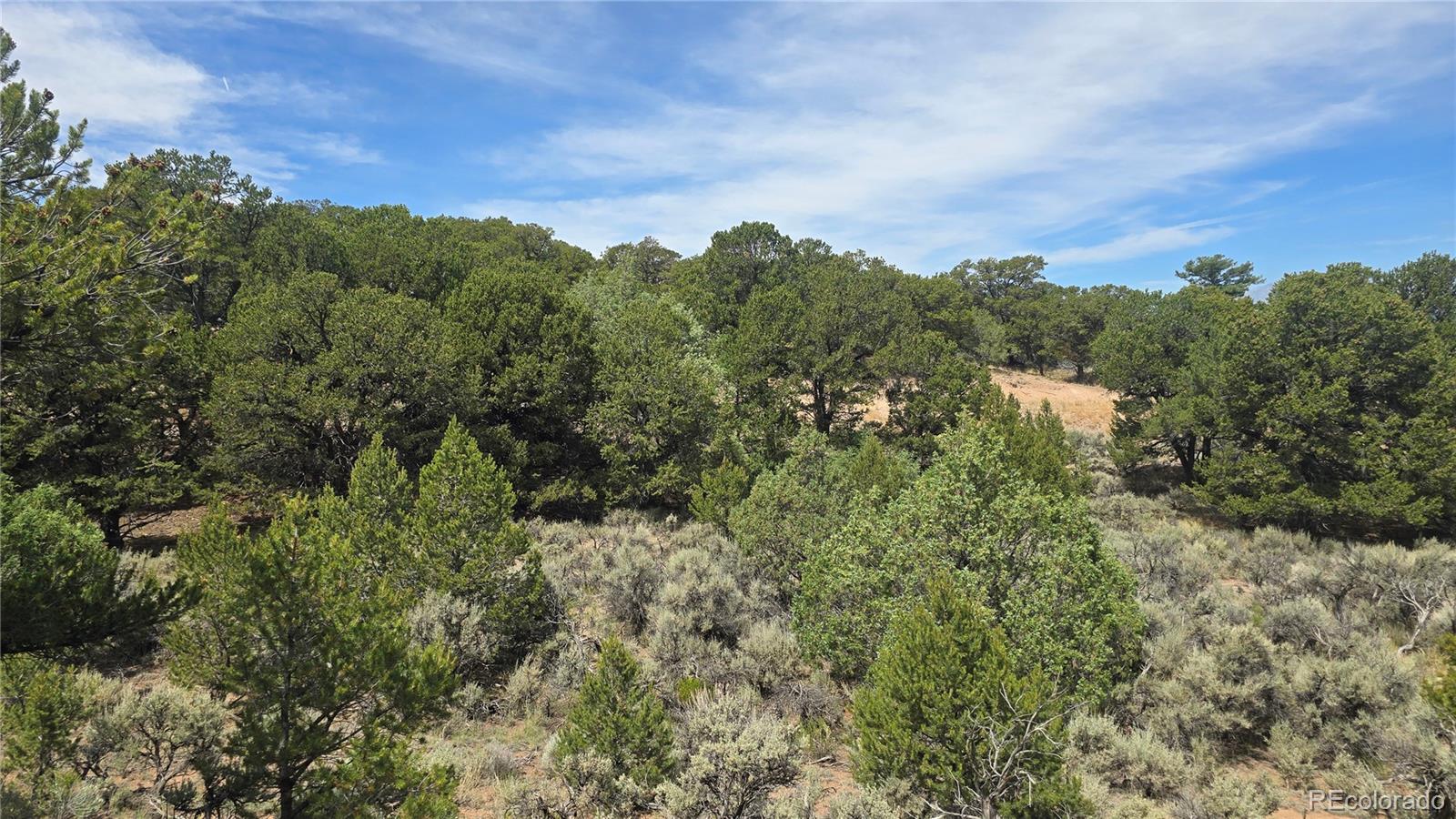Lot 7892 Tiernan Road Fort Garland CO 81133