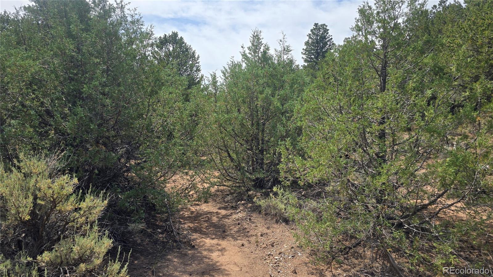 Lot 7892 Tiernan Road Fort Garland CO 81133