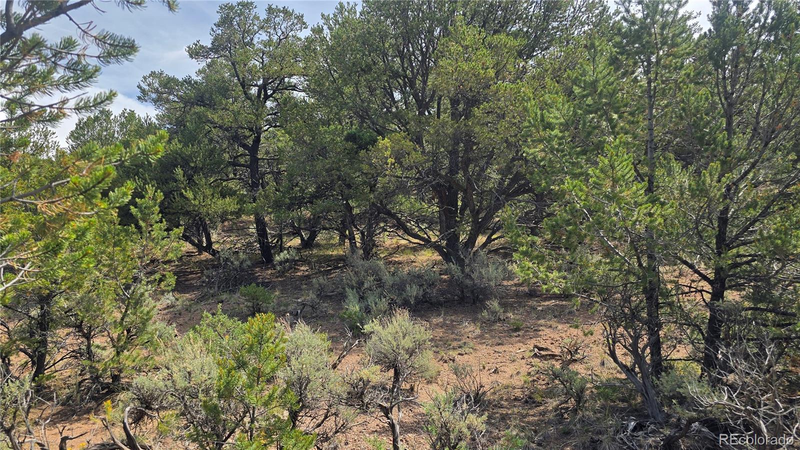 Lot 7892 Tiernan Road Fort Garland CO 81133