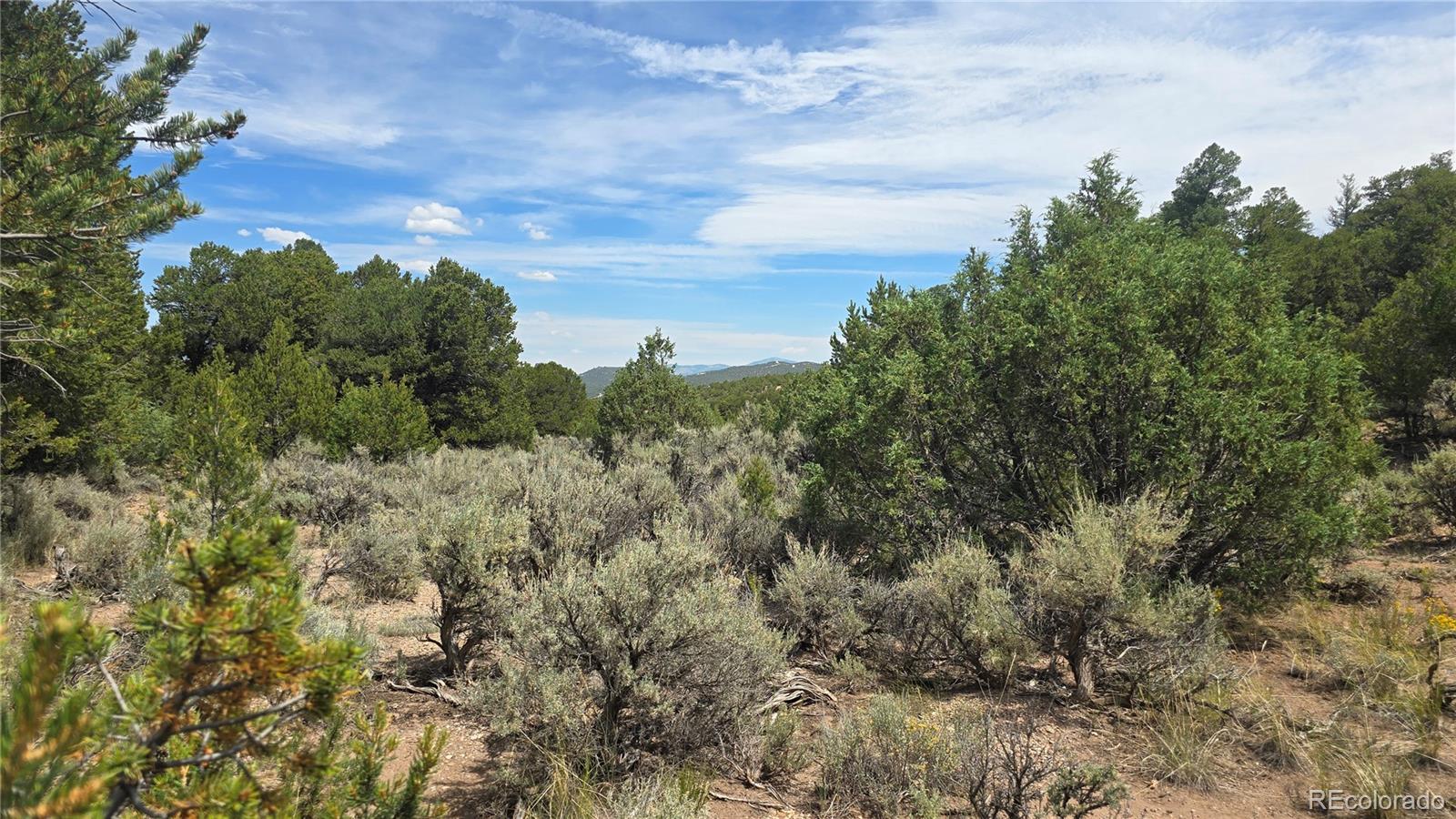 Lot 7892 Tiernan Road Fort Garland CO 81133