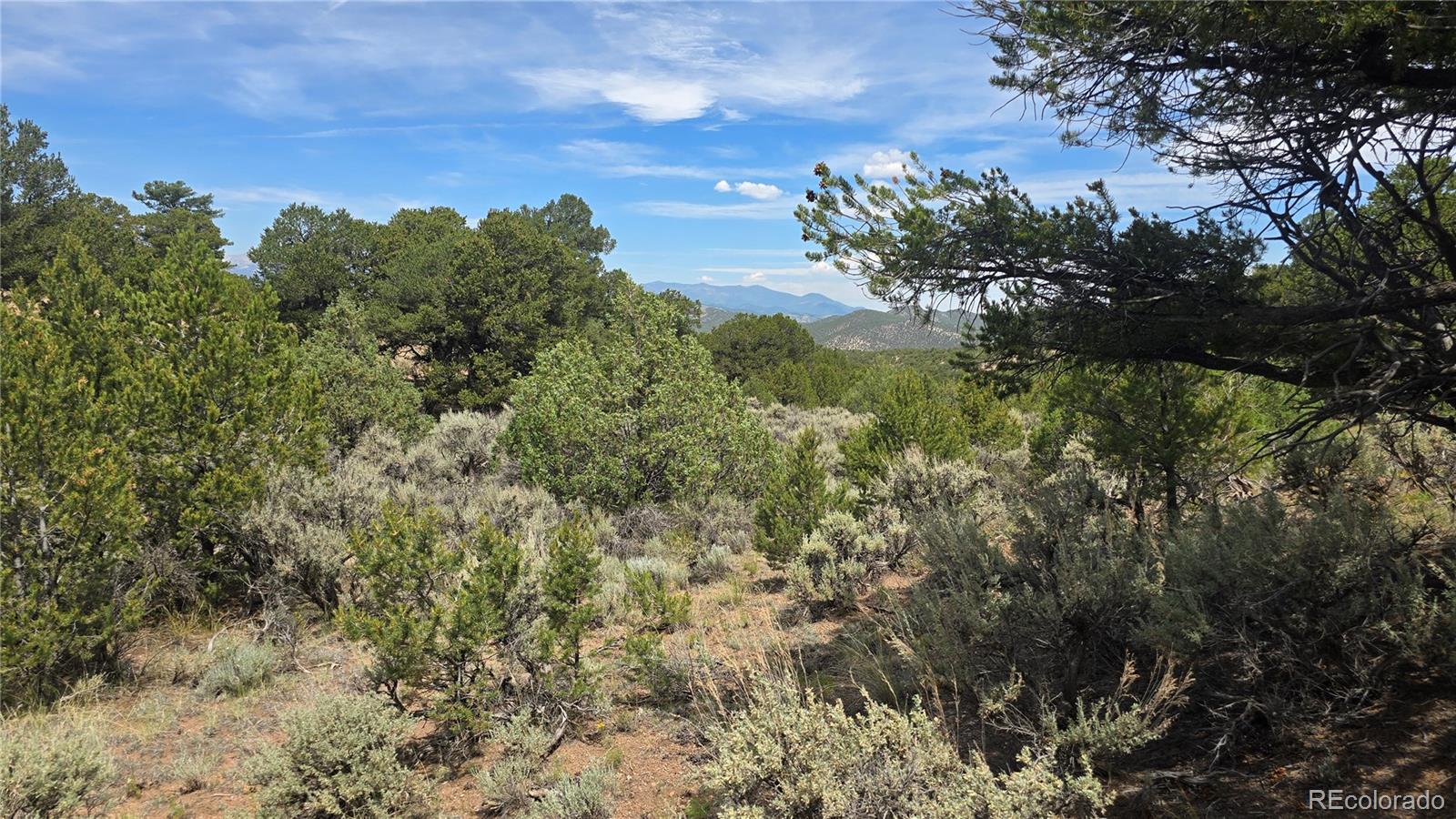 Lot 7892 Tiernan Road Fort Garland CO 81133