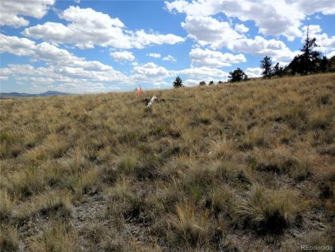 99 Pack Saddle Court Hartsel CO 80449