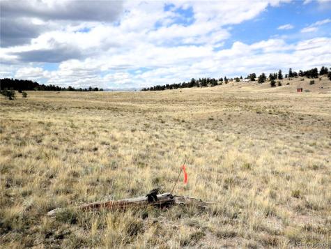 99 Pack Saddle Court Hartsel CO 80449