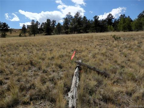 99 Pack Saddle Court Hartsel CO 80449