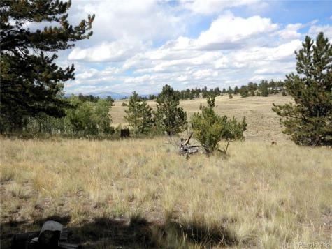 99 Pack Saddle Court Hartsel CO 80449