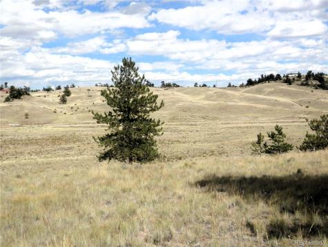 99 Pack Saddle Court Hartsel CO 80449